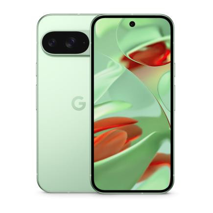 Смартфон Google Pixel 9 12/128Gb Global Wintergreen